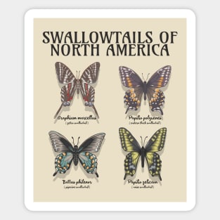 Swallowtails of North America Collection Magnet